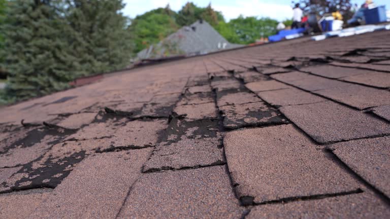 Best Wood Shake Roofing  in Terra Alta, WV