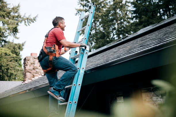 Best Roof Insulation Installation  in Terra Alta, WV